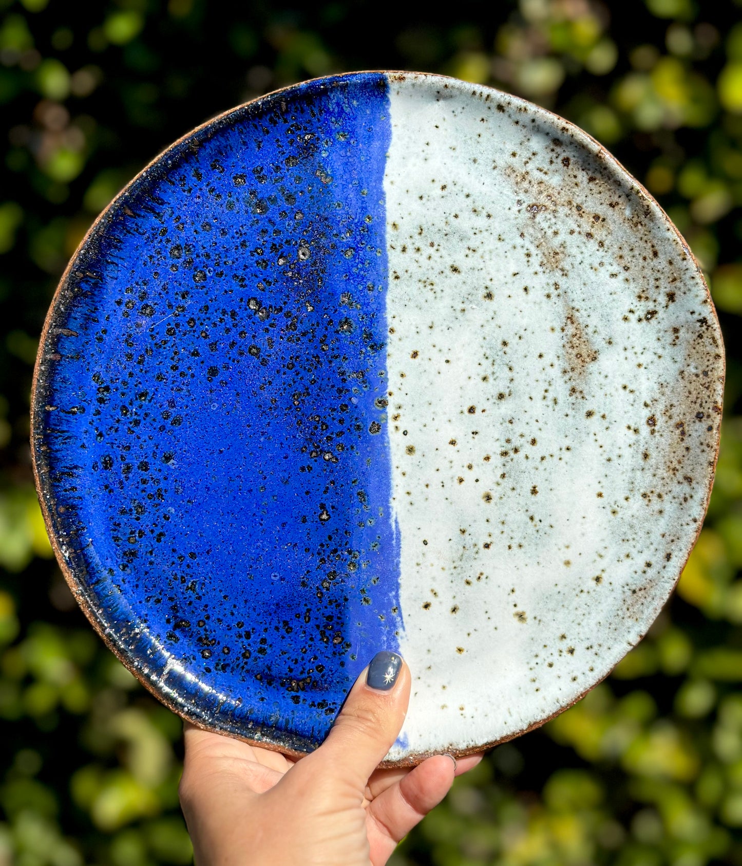 โจStarry Night Plate - Quarter ๐