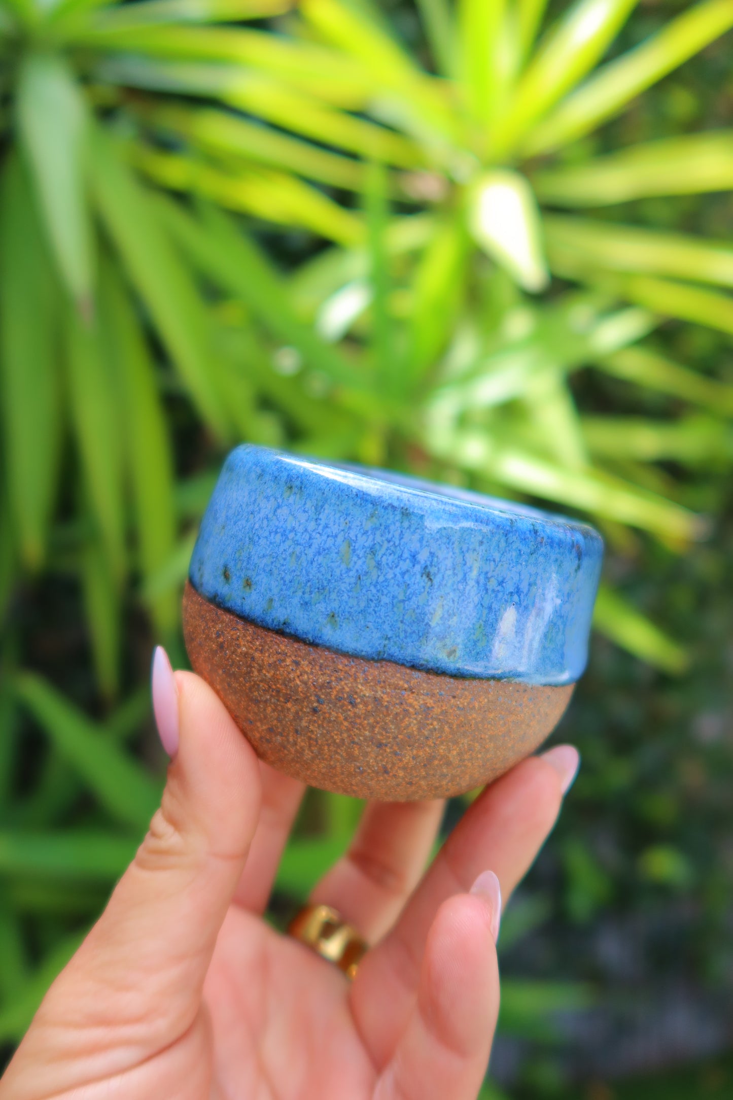 Cup