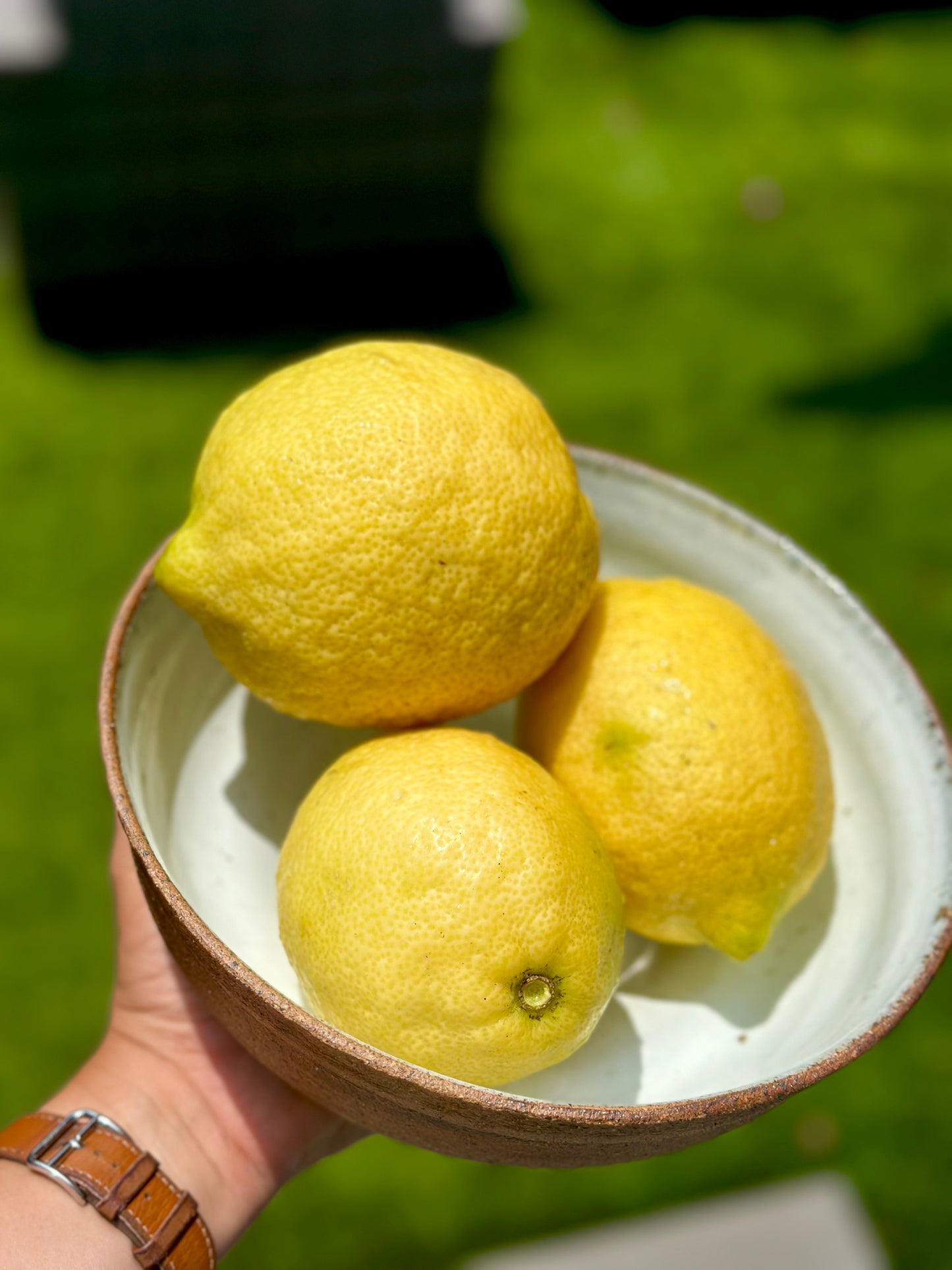 Speckled Serving Bowl