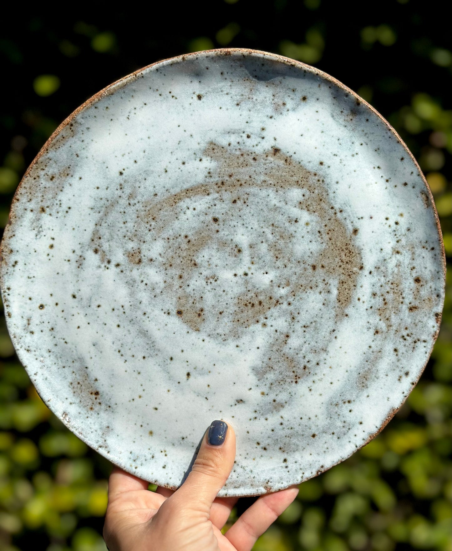 ✨Starry Night Plate - Full Moon 🌕