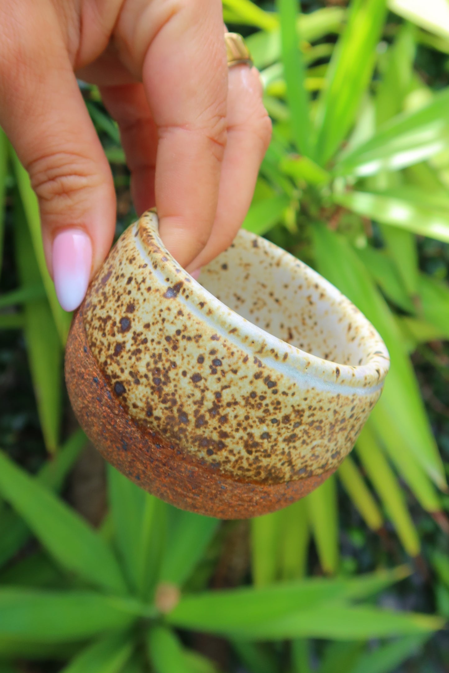 Cup